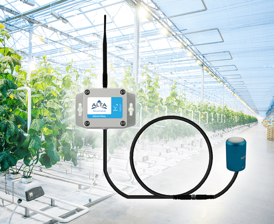 Using IoT Light Meters to Protect Valuable Assets and Optimize Operations